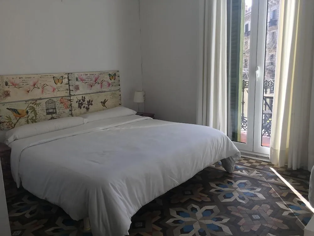 ** Konukevi Hostal Eixample Otel Barselona İspanya