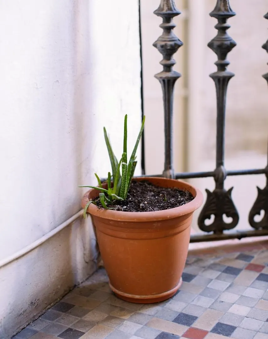 Hostal Eixample Barcelona Guest house